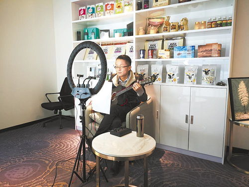 数字走廊赋能兰西城市群 打造物资供销新引擎