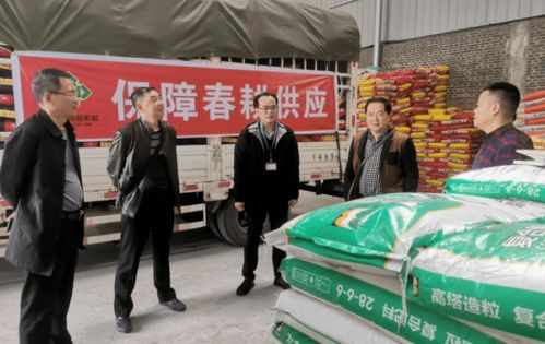 东兴区强化监督保障 助推开局之年社会经济稳定发展