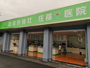向“供”而行，解“销”困惑——全国供销社代表在绍兴物资供销的现场见闻